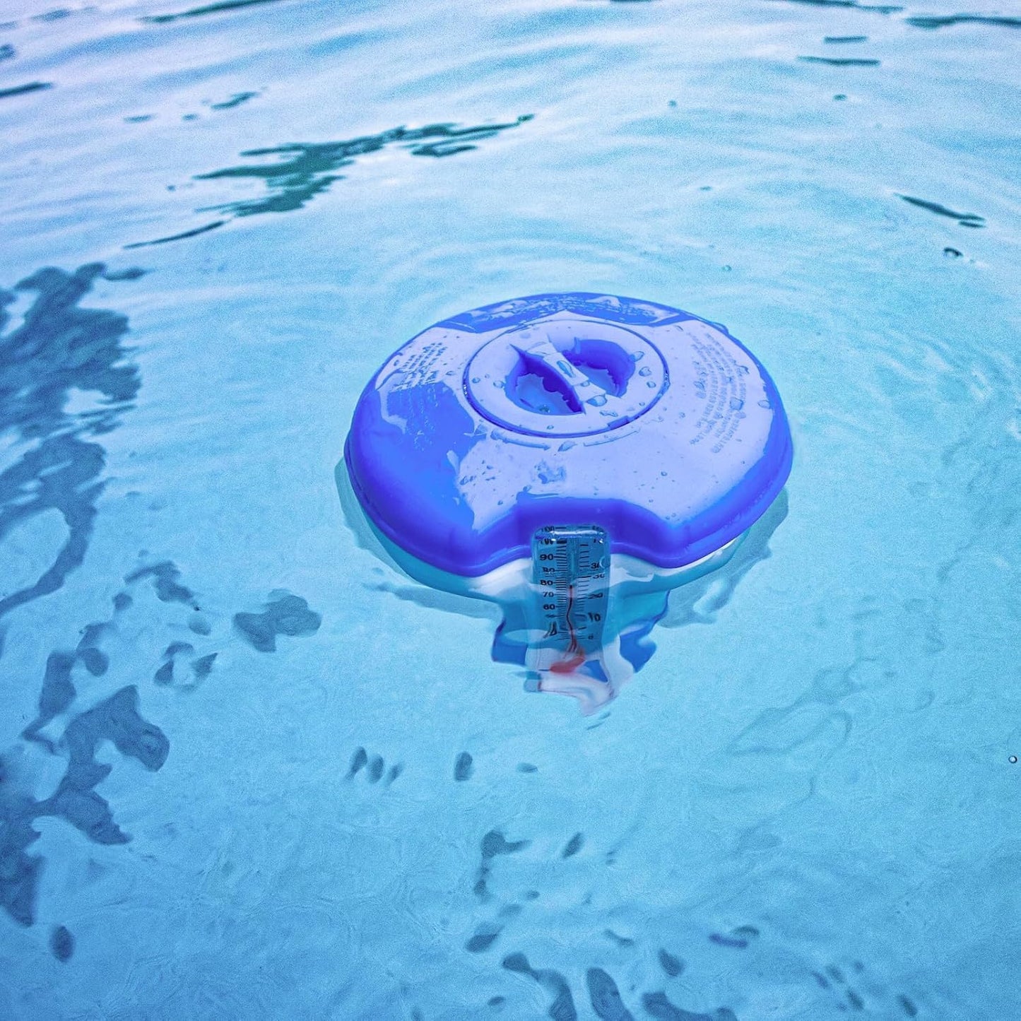 Lark Deluxe Pool Maintenance Kit