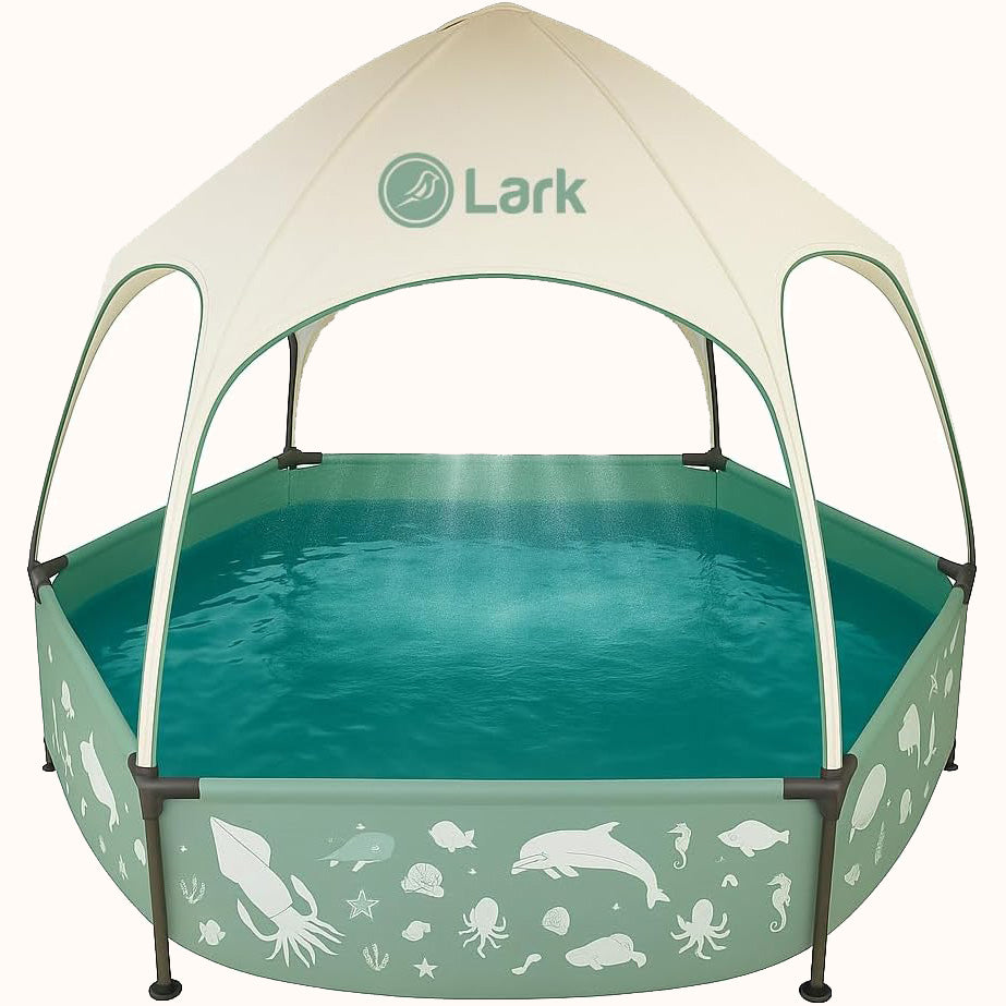 Lark 8' x 20" Metal Frame Pool with Canopy and Adjustable Mister