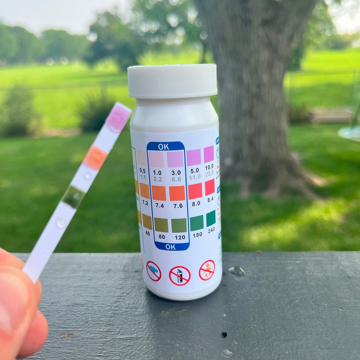 Lark Deluxe Pool Maintenance Kit