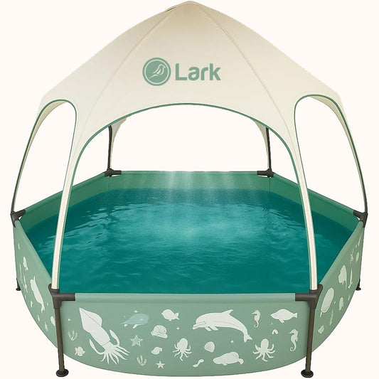 Lark 8' x 20" Metal Frame Pool with Canopy and Adjustable Mister