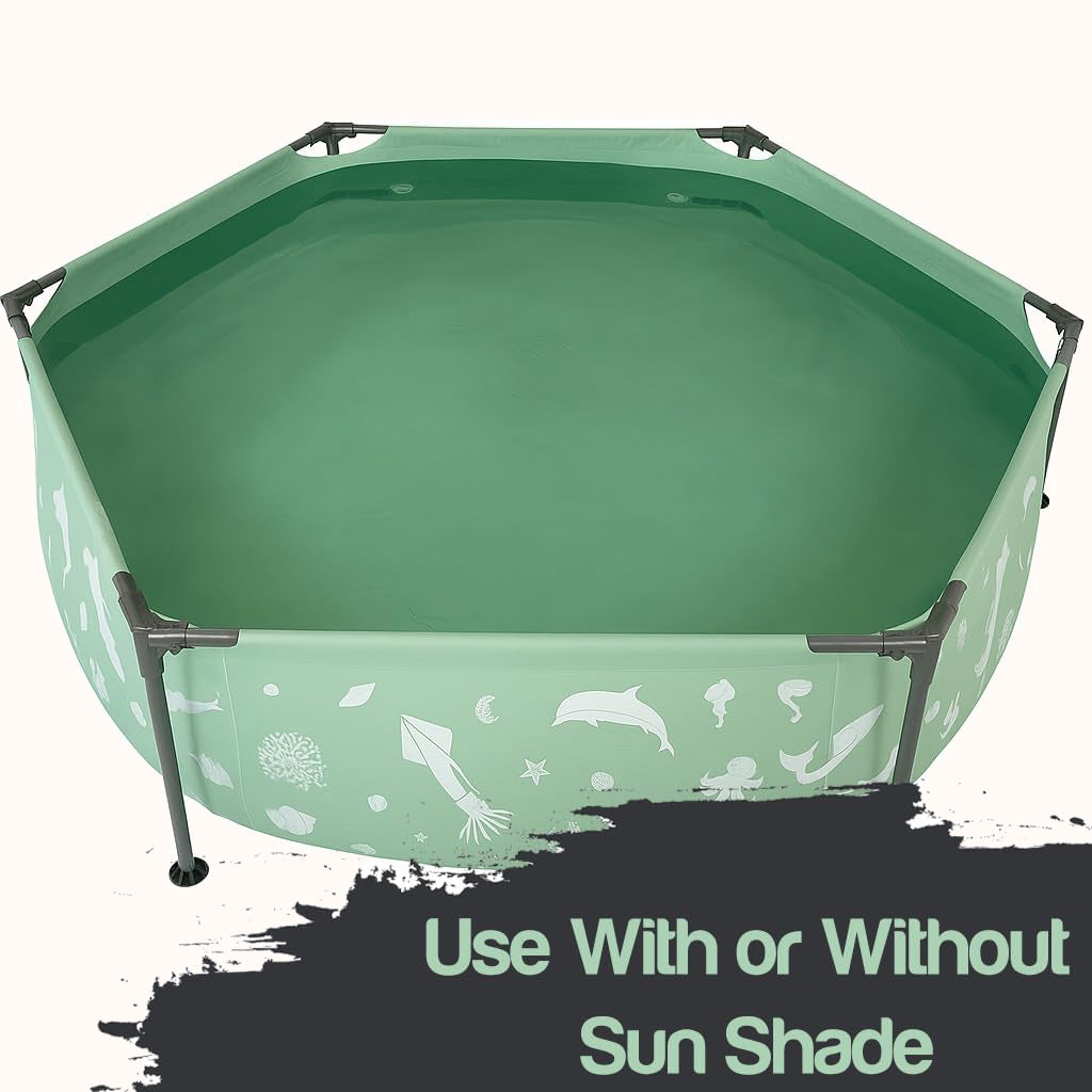 Lark 8' x 20" Metal Frame Pool with Canopy and Adjustable Mister